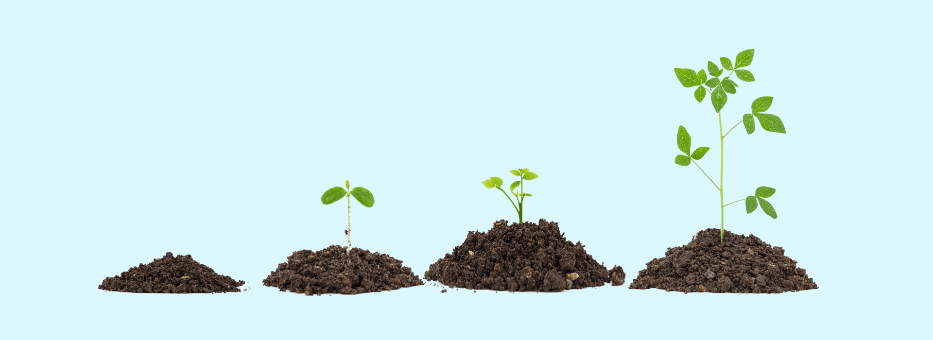 unlock-secure-growth-with-account-funding-transactions